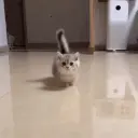 Креветочка
