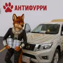 АнтиФурри