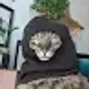 сима_кола