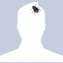 Lolz profile picture for @Onion