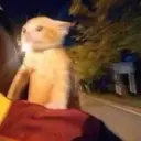 meosuke