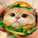 id660488880