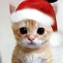 Nubik_004