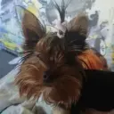 qeweexii