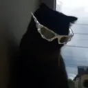 Dark