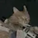 Hrhejo