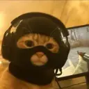 id_777808