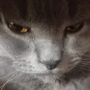 mmreu
