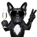 Lolz profile picture for @Corvette