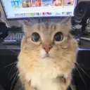 zem1ksad