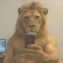 fottar