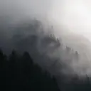 raavess