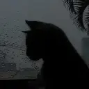 idkbcs