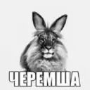 Deternity