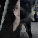 bettusan