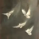 Dreuiop