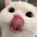 твист