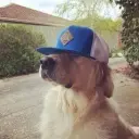 WorvexPp