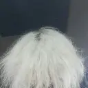 id603348650