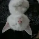 uuu