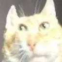 Zibirek
