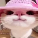 Sayrexx13371222