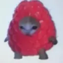 Pokemun1231