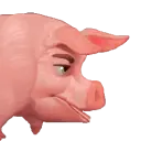 exepert