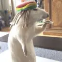 неуникальный