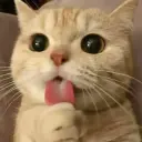 MiloAce