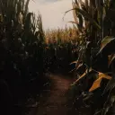 Bombanus