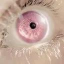 murakkkami