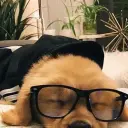 QuantumShift