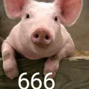 dfafadfadad
