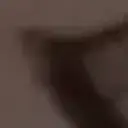 lofipropro