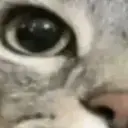 unleash