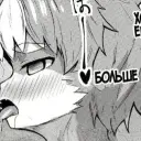 FUR