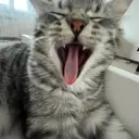 xkaww1