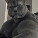 bustachrry