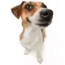 olaf01013