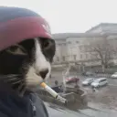 Текущий аватар
