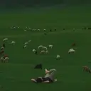 Kratos_69