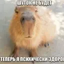 vsvyat999