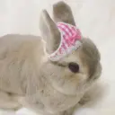 Alowyy1