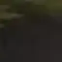 gfasfdgbvc