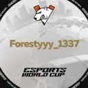 forestyyy_1337
