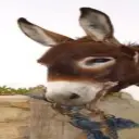 WeaqLy