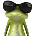 Perlm