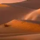 Sahara