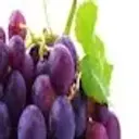 RenamedGrape
